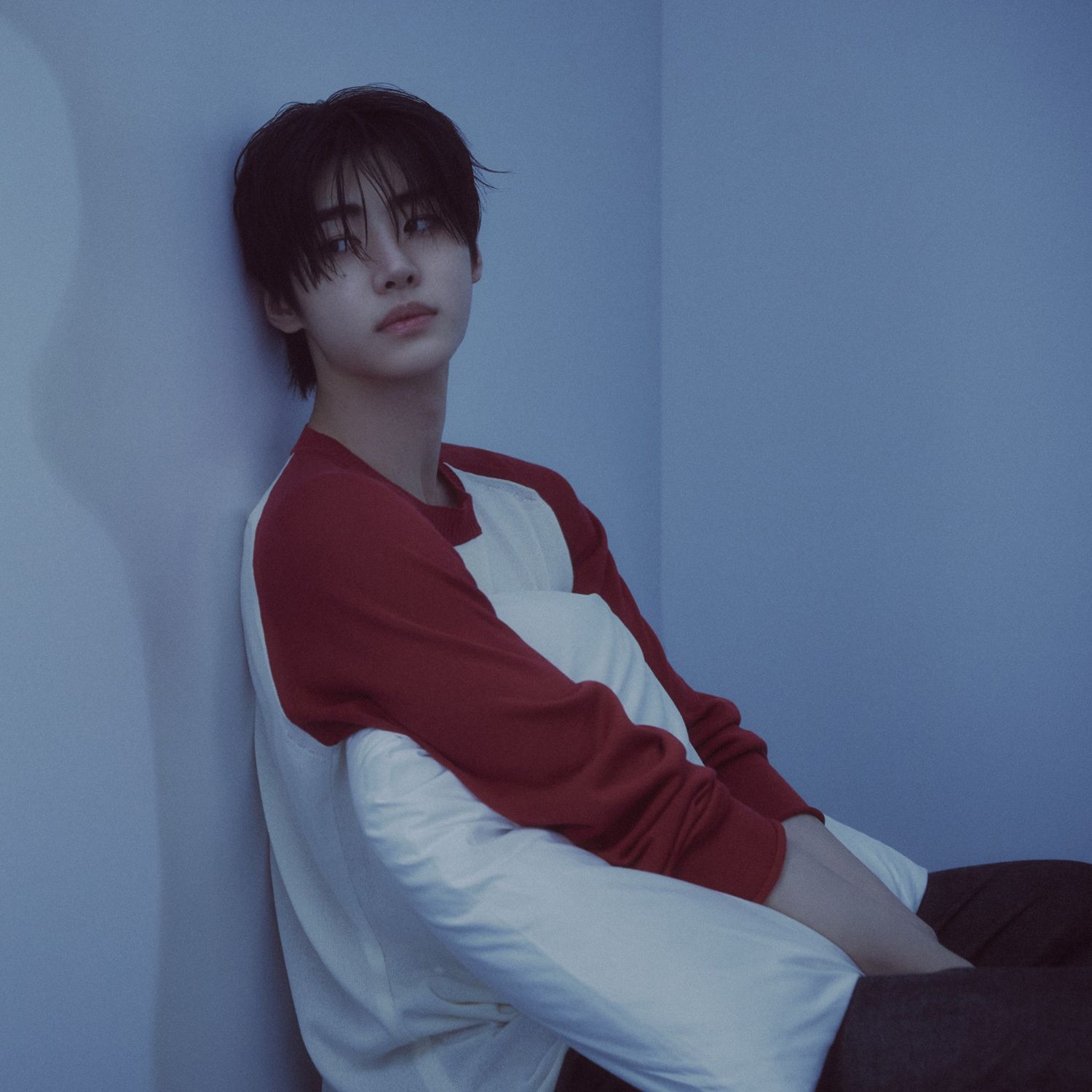 ENHYPEN 팬이 찍은 순간