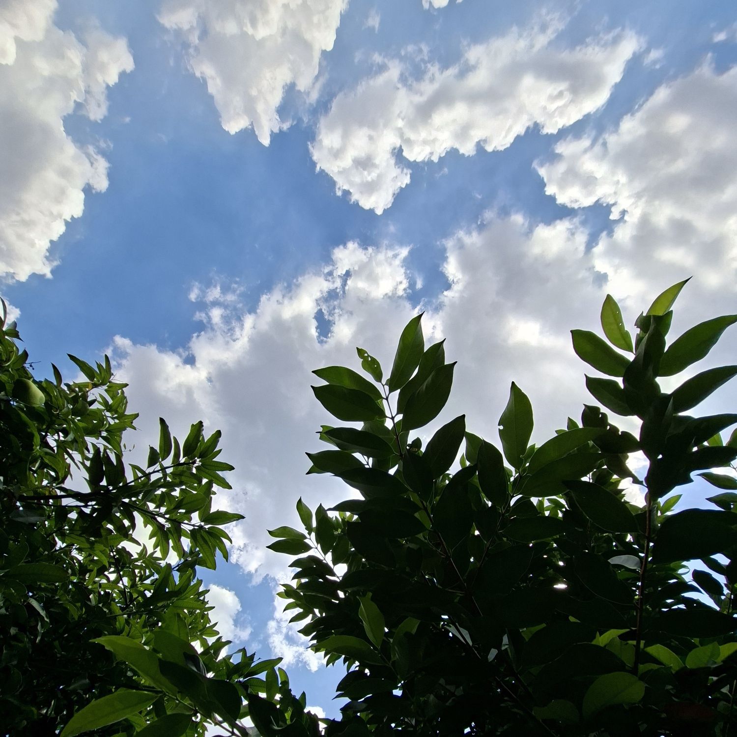 ソンフン (ENHYPEN)の舞台裏ショット