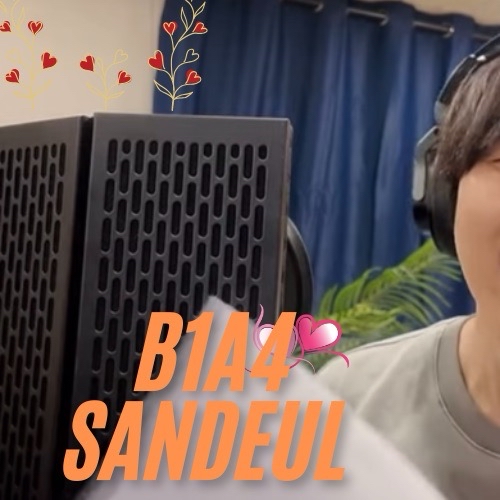 Recent activity shot of Sandeul (B1A4)