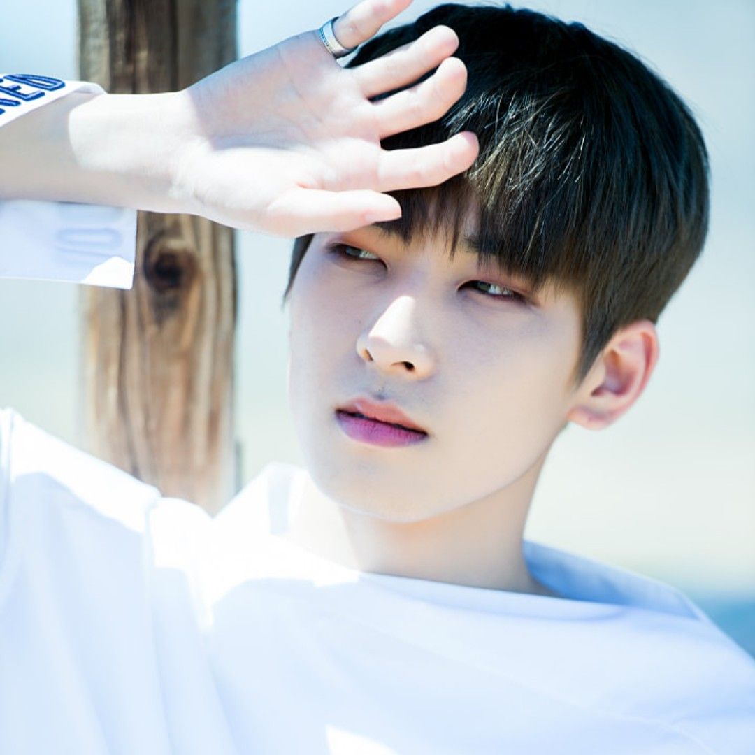 圓佑 (SEVENTEEN)粉絲拍下的瞬間