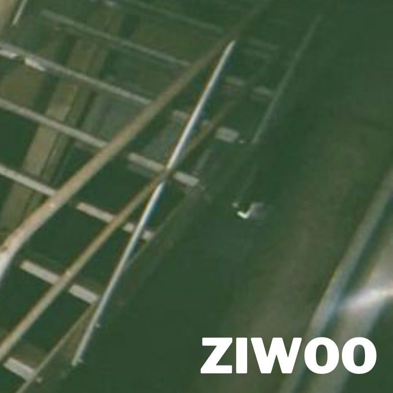 A moment captured by Ziwoo's fan