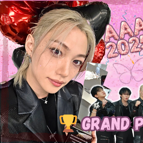 필릭스 (Stray Kids) 팬이 찍은 순간