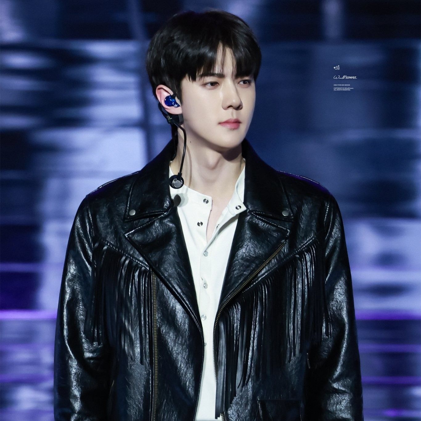 世勋 (EXO)的最新照片