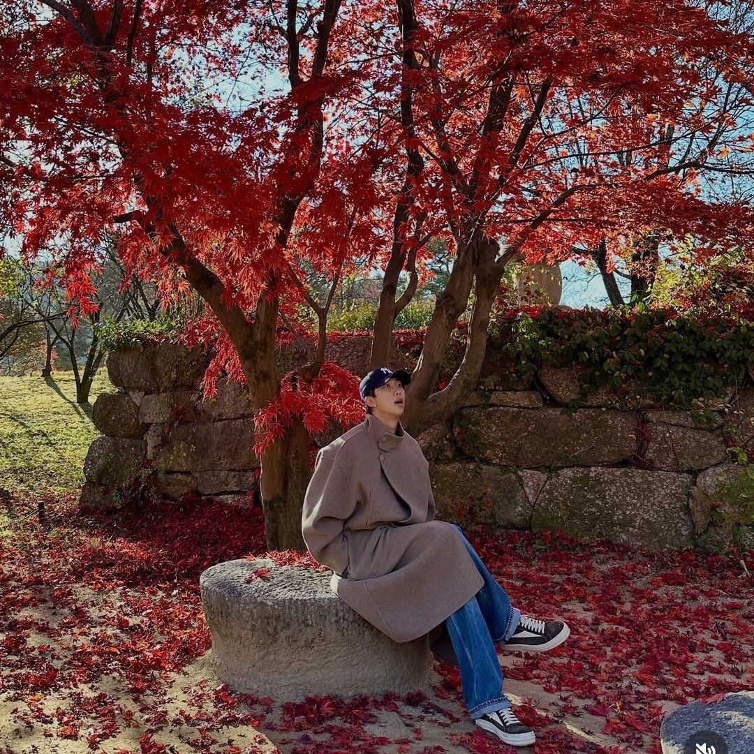 A moment captured by RM (BTS)'s fan