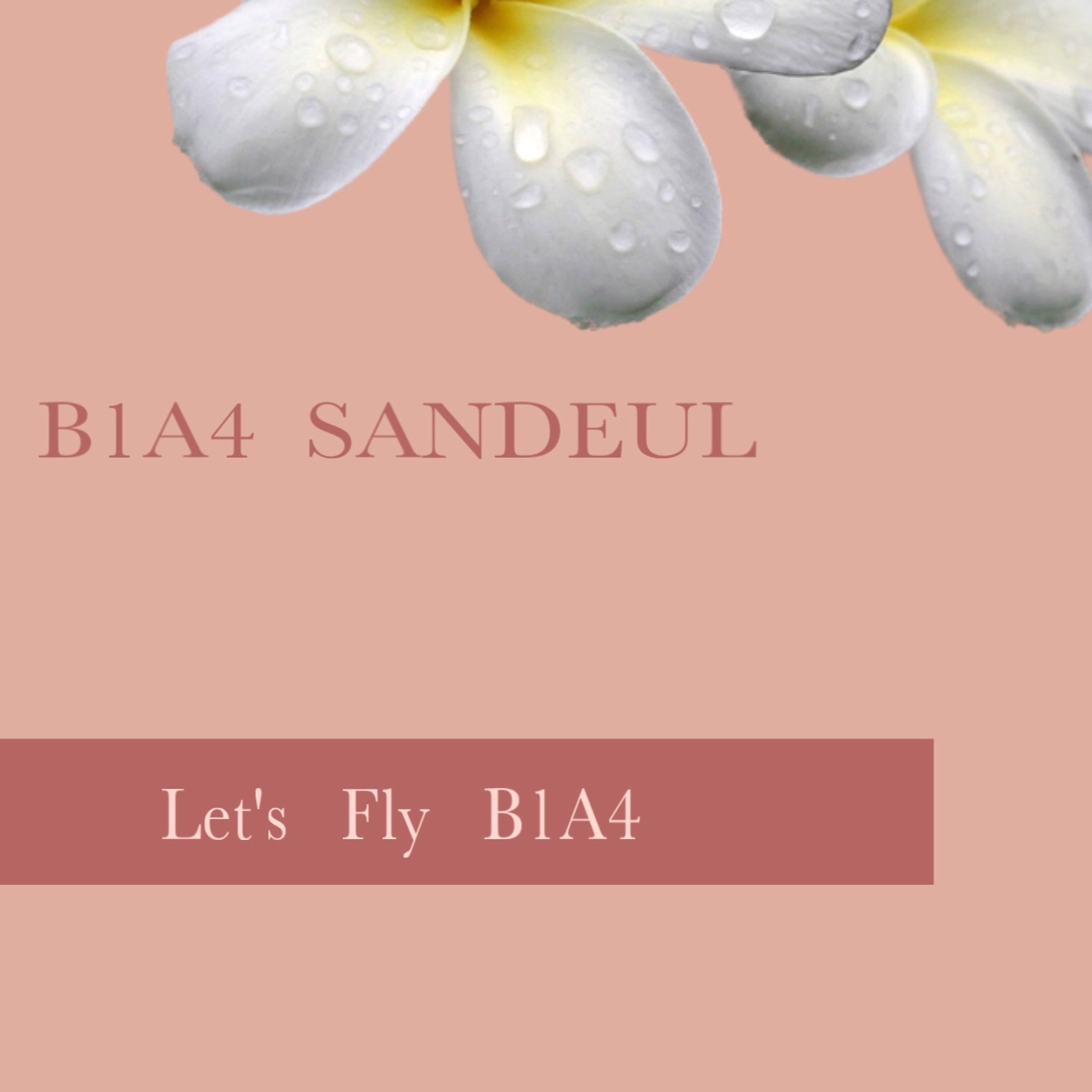 A moment captured by Sandeul (B1A4)'s fan