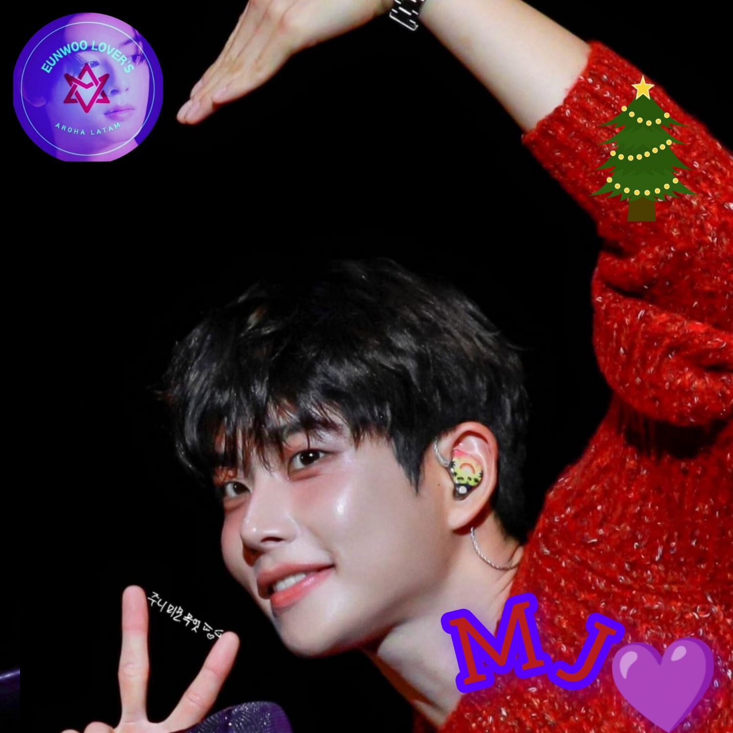 아스트로 팬이 찍은 순간