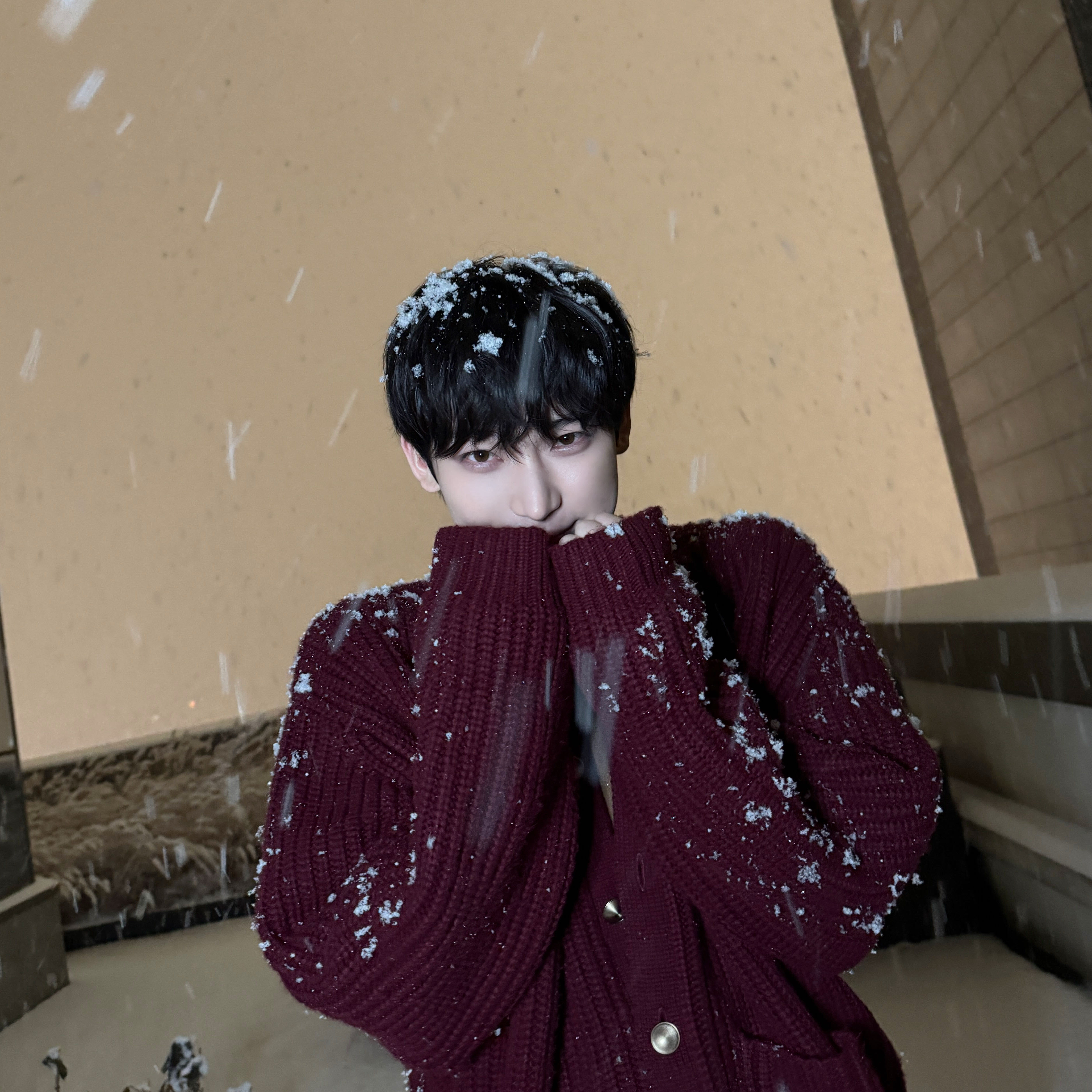 ソヌ (ENHYPEN)の最近の活動写真