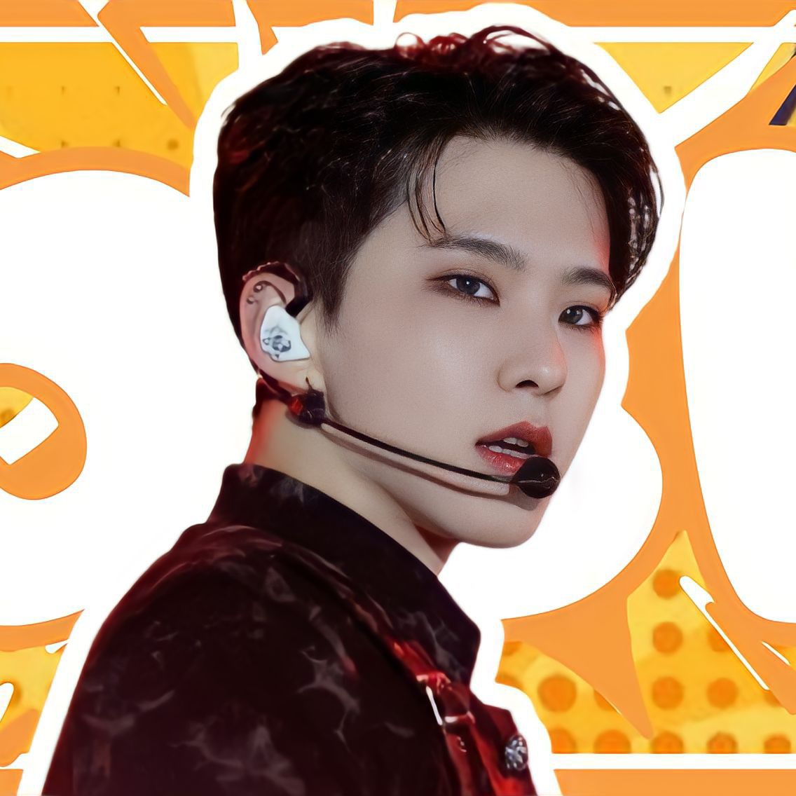 세븐틴 팬이 찍은 순간