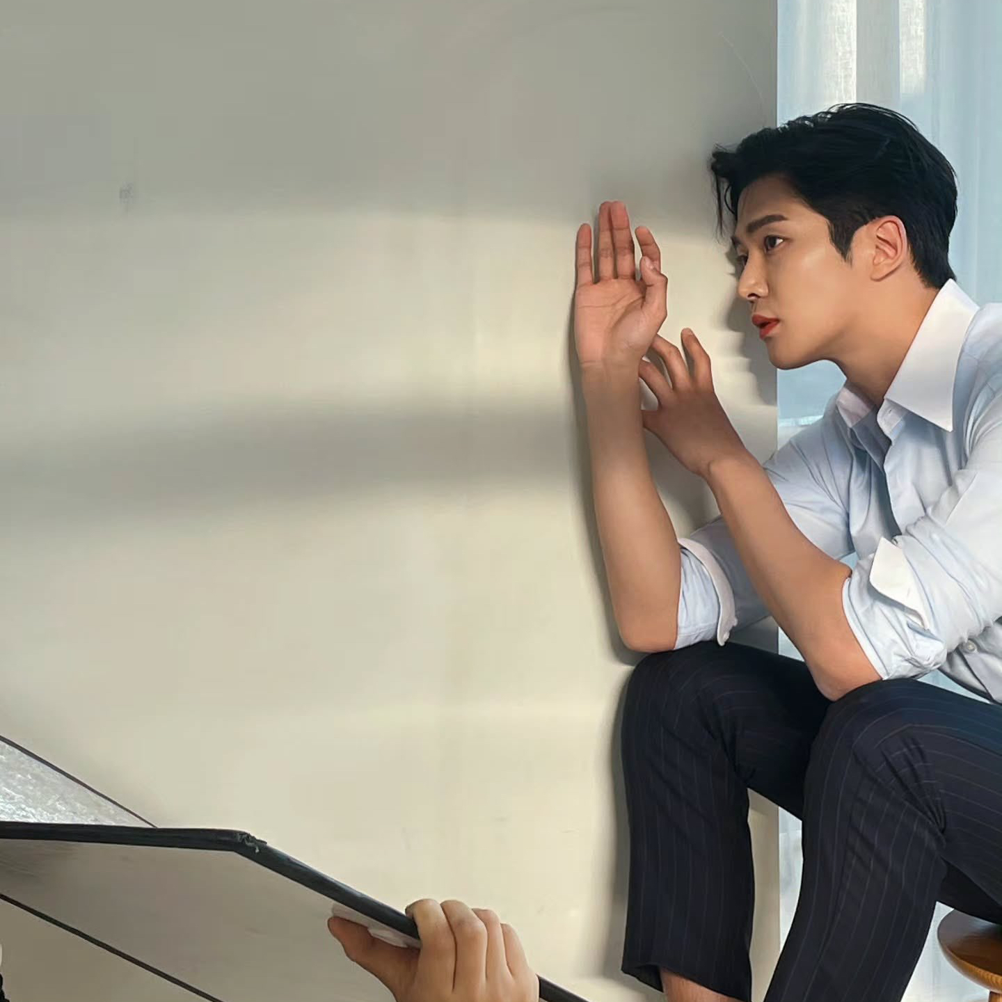 ロウンファンが撮った瞬間