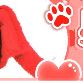 A moment captured by Chaeyoung (TWICE)'s fan