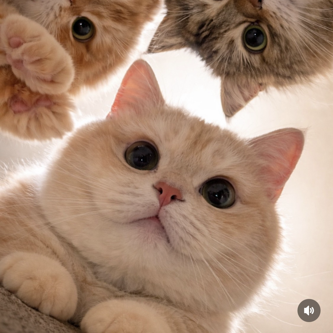 SUGA (BTS)の舞台裏ショット