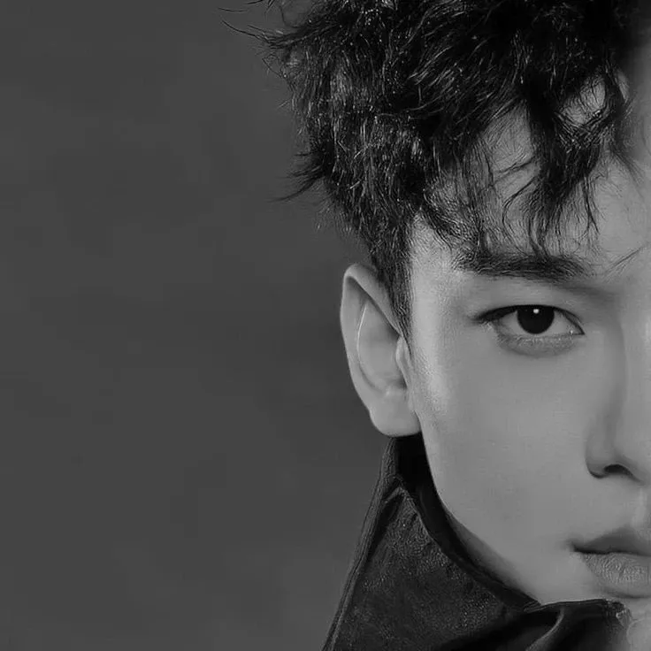 EXO 팬이 찍은 순간