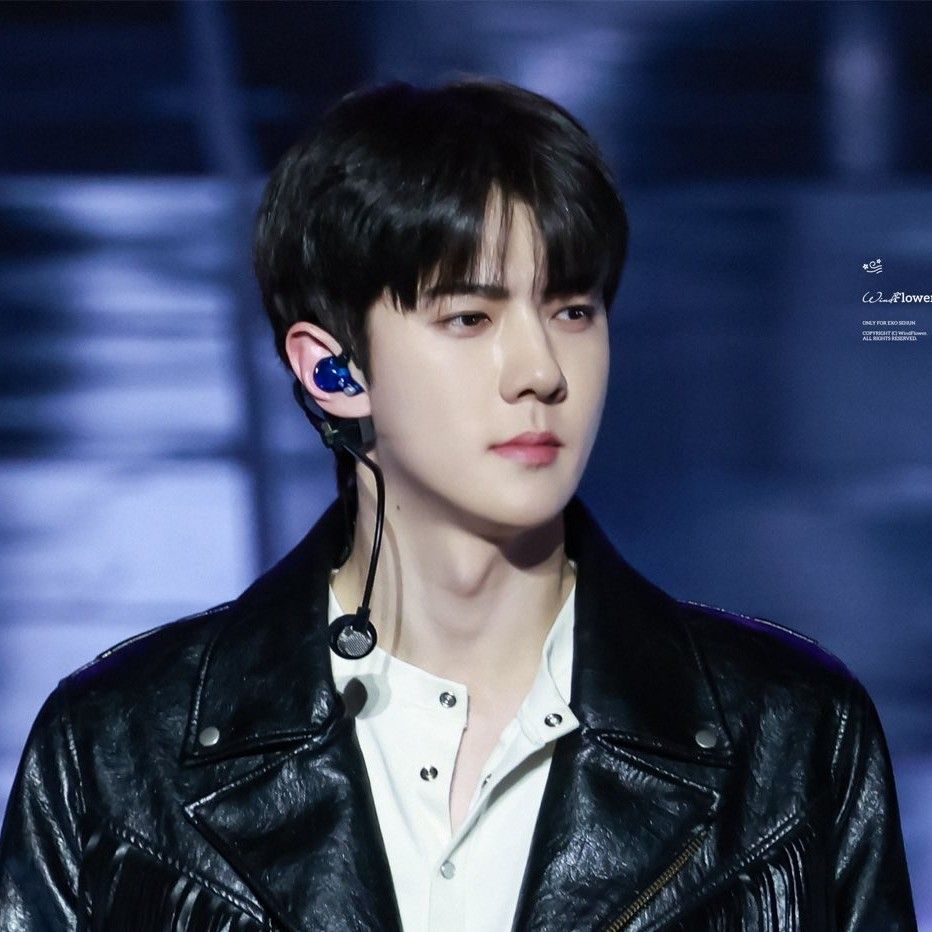 세훈 (EXO) 최근 활동샷