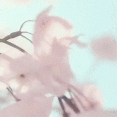 Recent activity shot of Jeong Eunji (Apink)