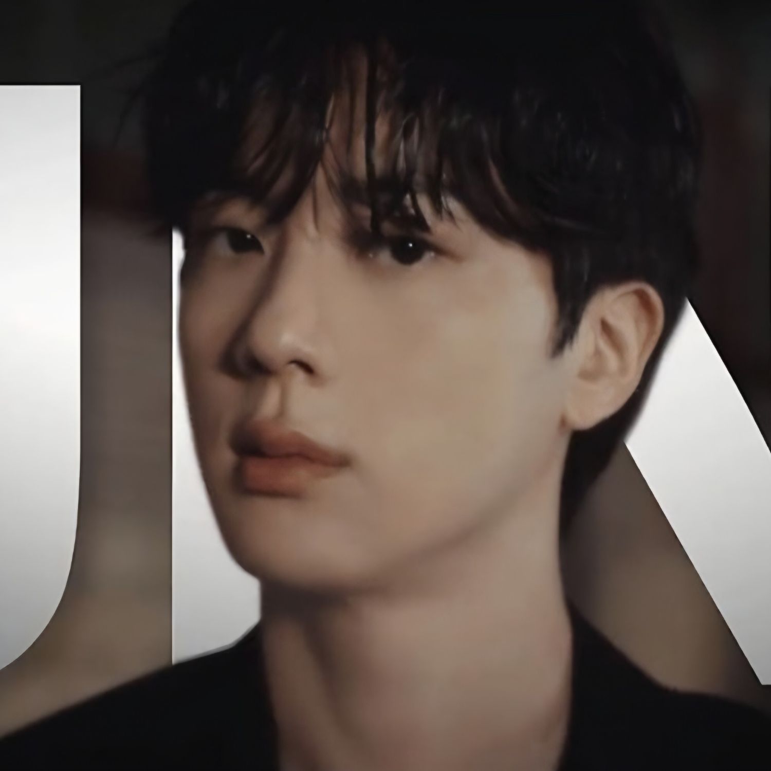 진 (방탄소년단) 팬이 찍은 순간