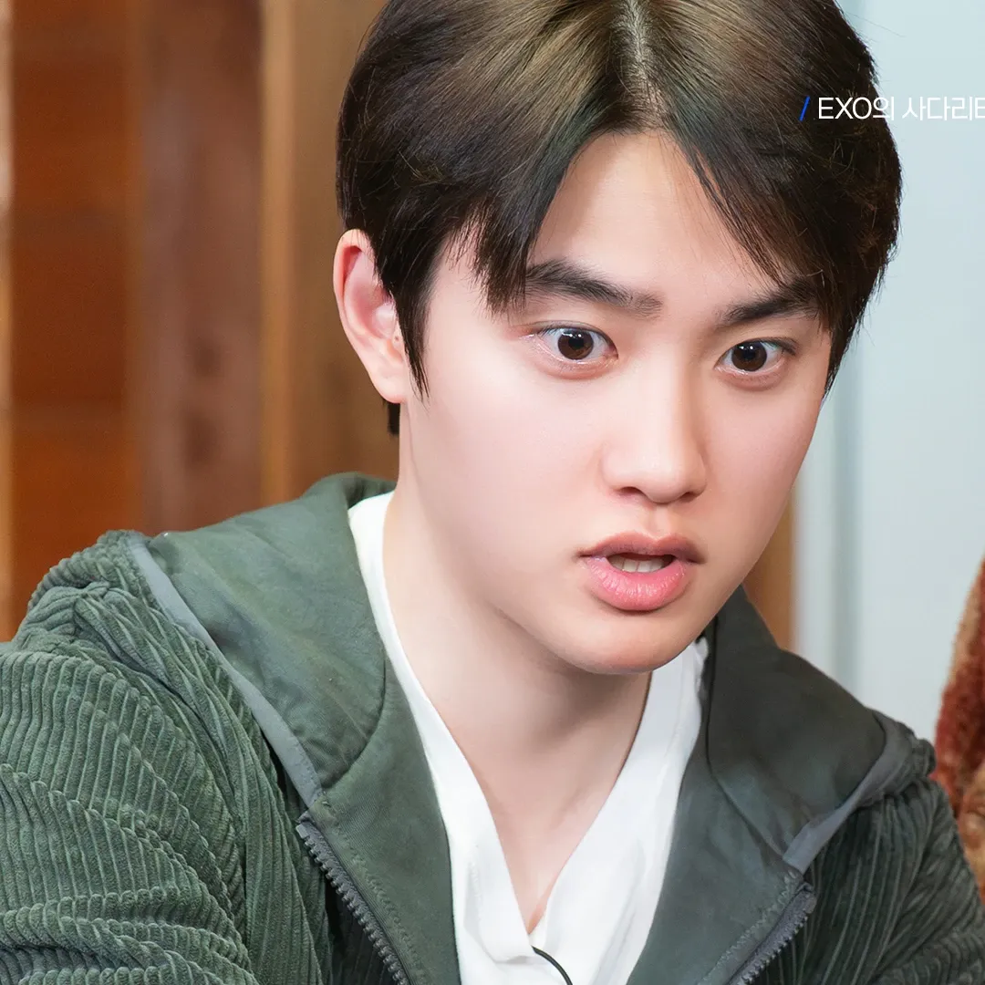 디오 (EXO) 팬이 찍은 순간