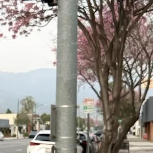 Recent activity shot of Donghwa (KickFlip)