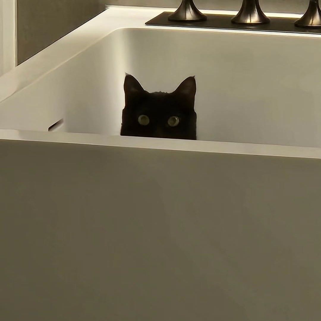 방탄소년단 최근 활동샷