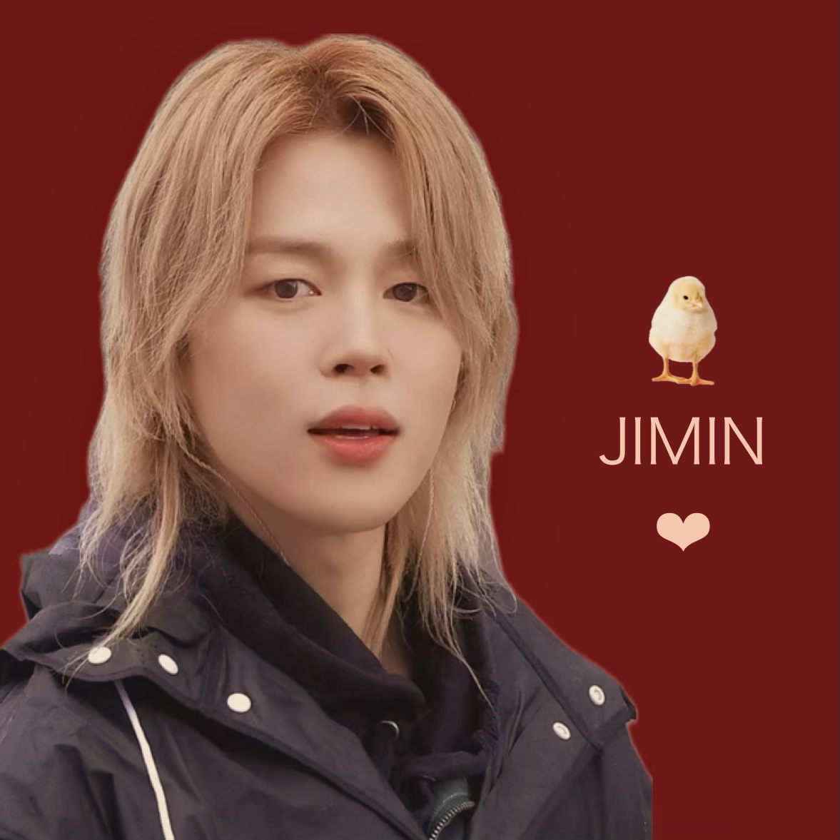 Momen yang diabadikan oleh penggemar Jimin (BTS)