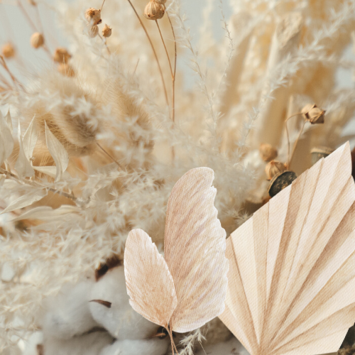 Recent activity shot of Hyui (NEXZ)