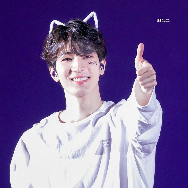 원우 (세븐틴) 팬이 찍은 순간