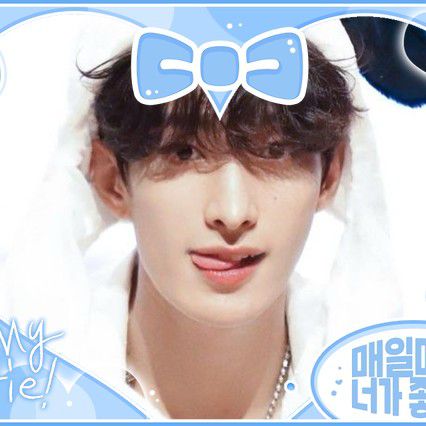 세븐틴 팬이 찍은 순간