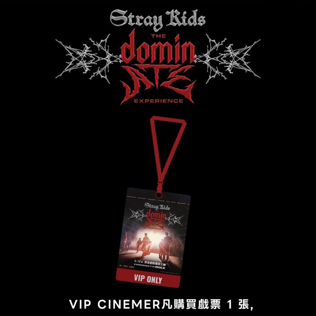 Stray Kids 팬이 찍은 순간