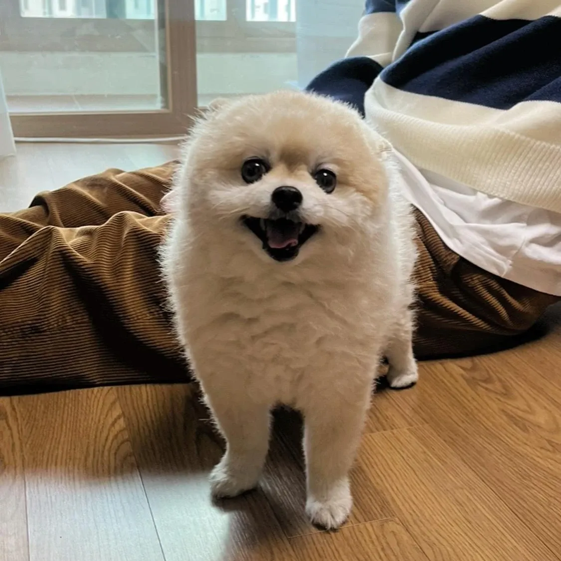 韓彬 (TEMPEST)的幕後花絮