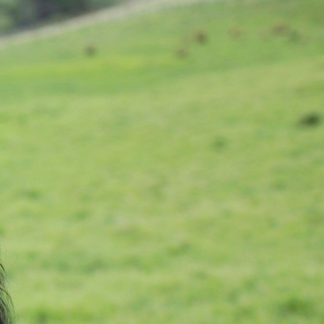 华莎 (MAMAMOO)粉丝拍下的瞬间