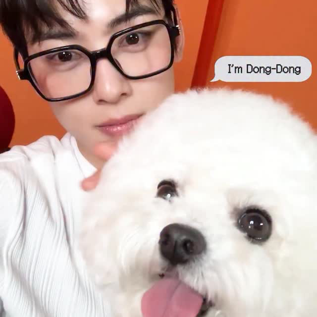 A moment captured by Eunwoo (ASTRO)'s fan