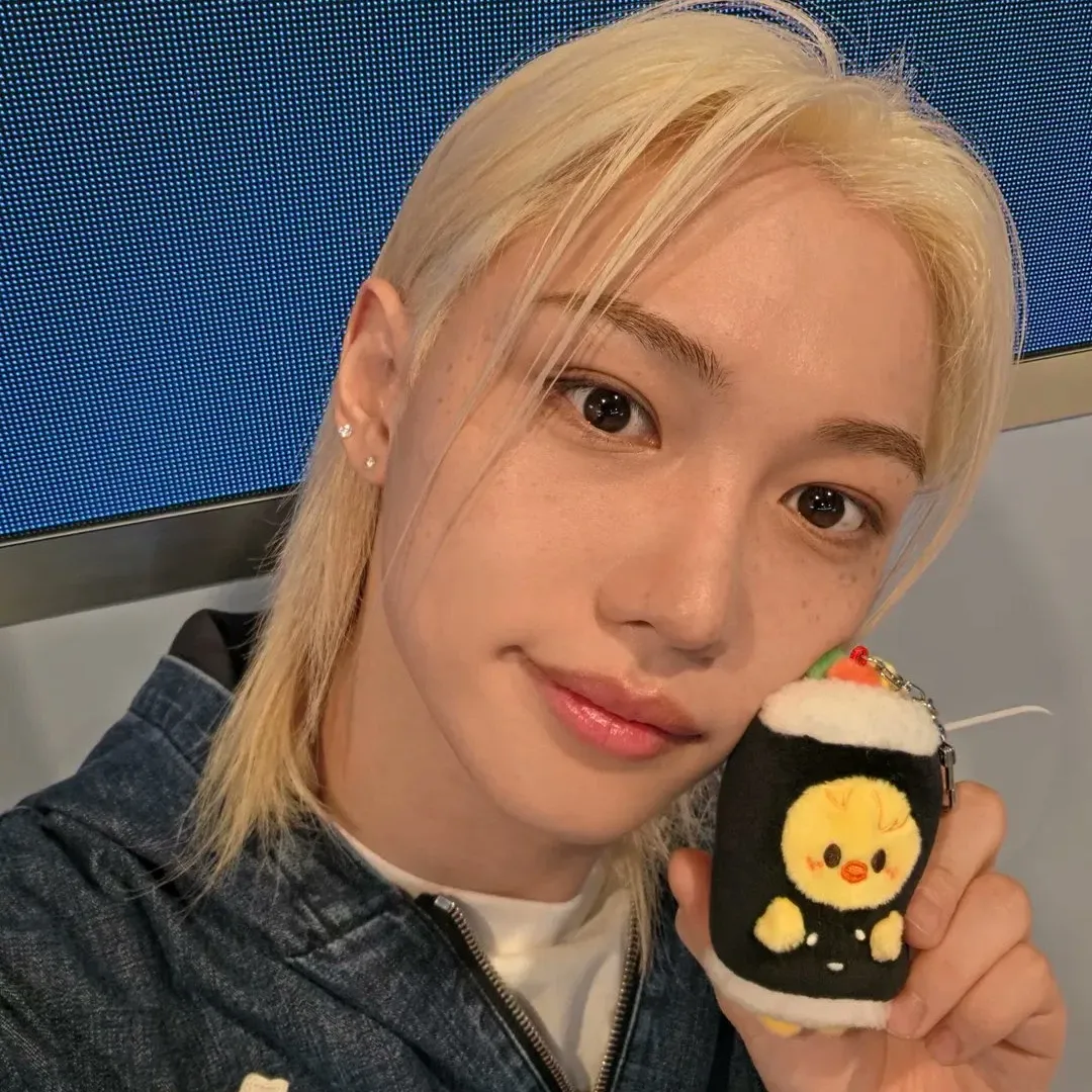 Stray Kids 팬이 찍은 순간