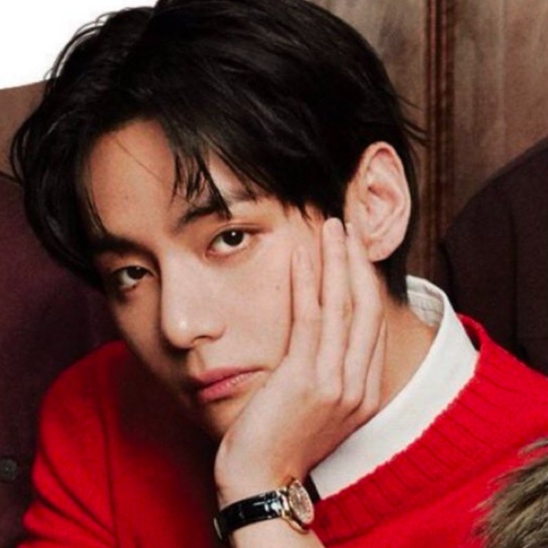 V (BTS)の舞台裏ショット