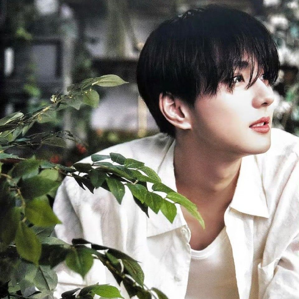 A moment captured by Jungwon (ENHYPEN)'s fan