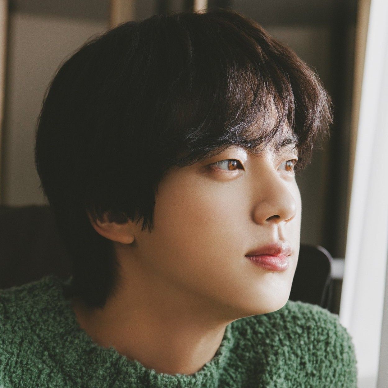 진 (방탄소년단) 팬이 찍은 순간