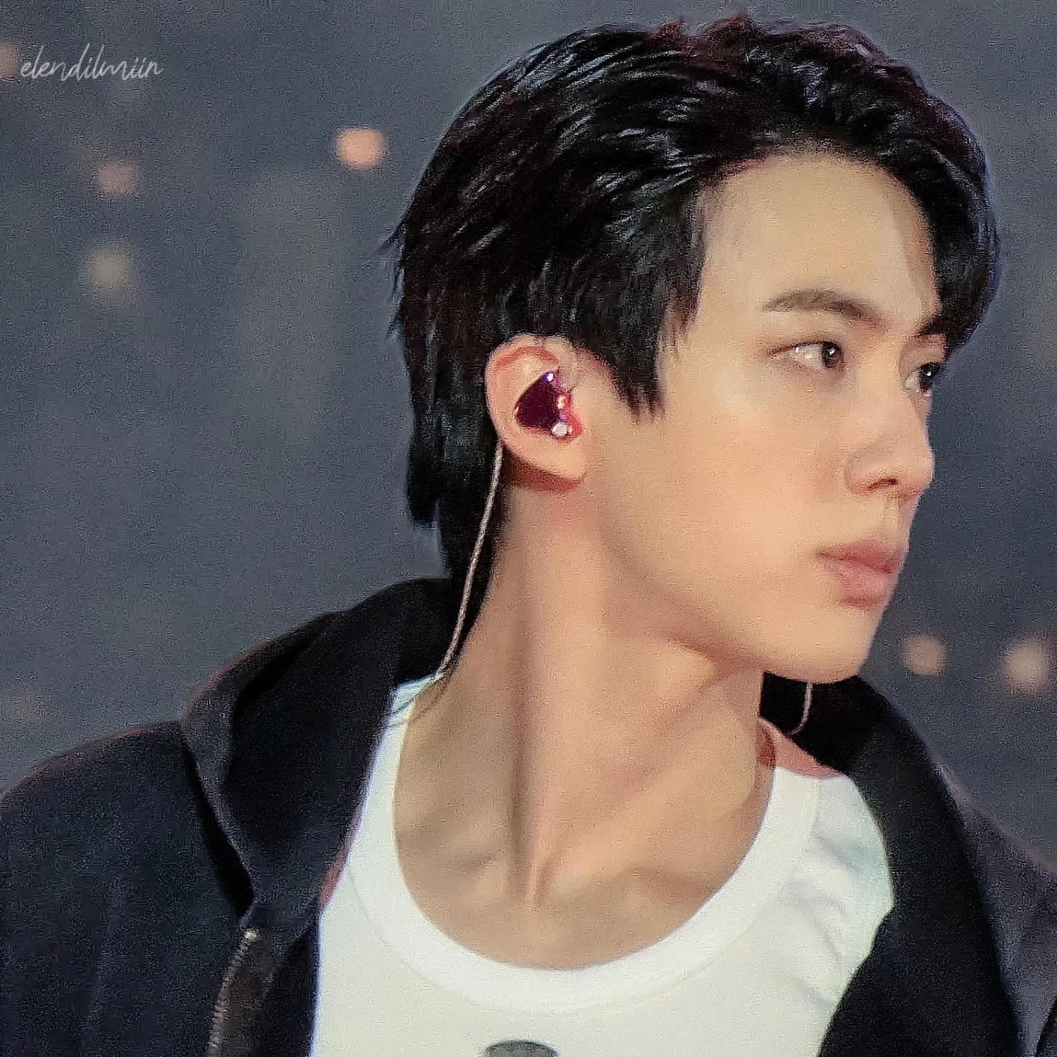 A moment captured by Jin (BTS)'s fan
