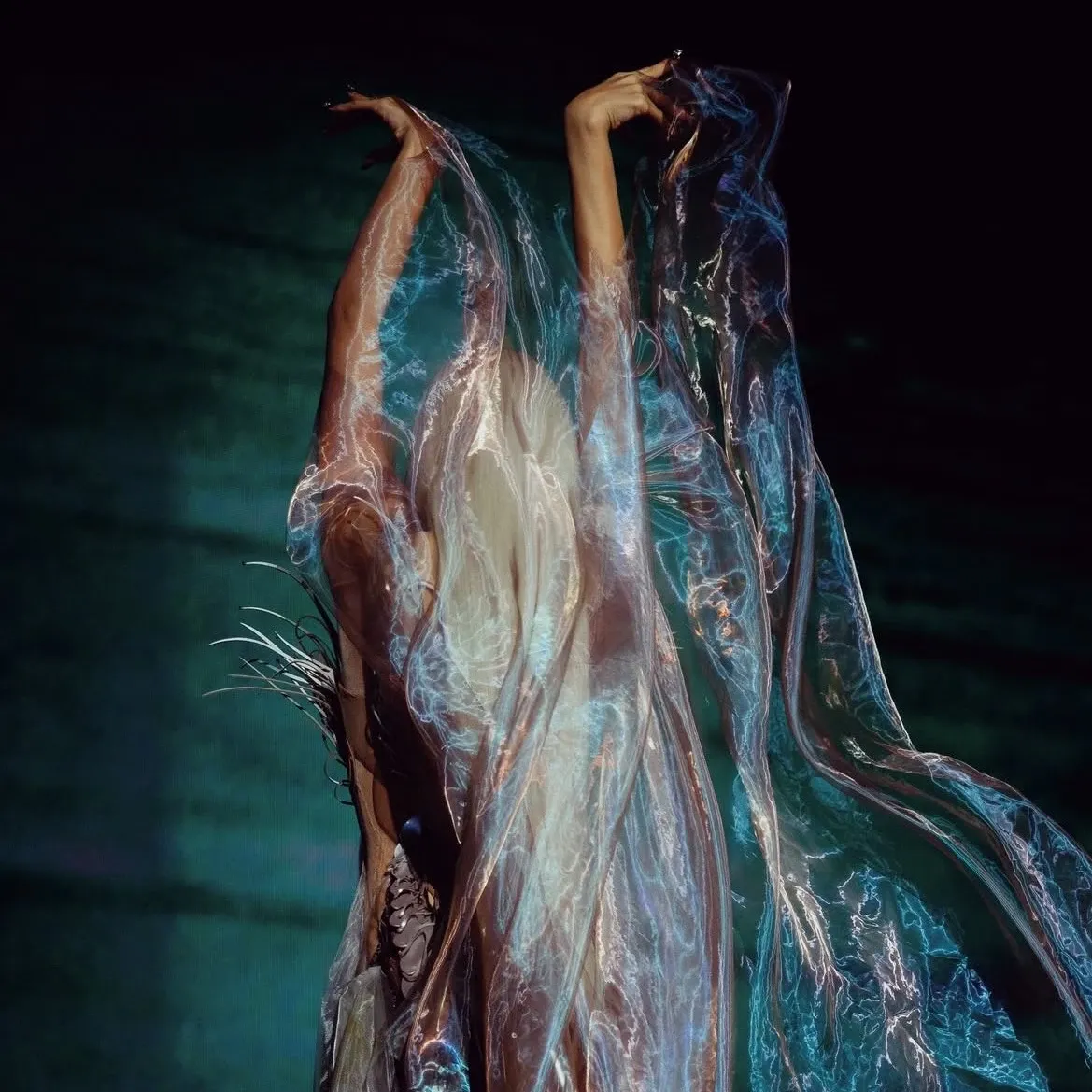 리사 (BLACKPINK) 팬이 찍은 순간