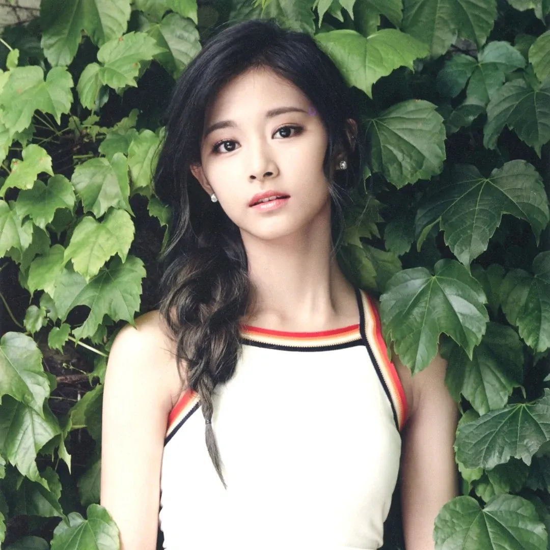 쯔위 (TWICE) 최근 활동샷