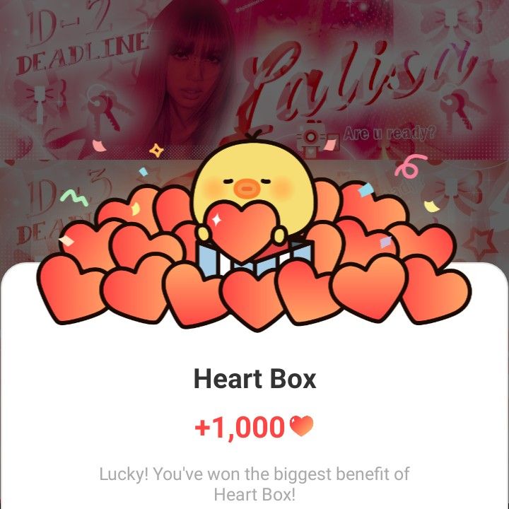 BLACKPINK 최근 활동샷