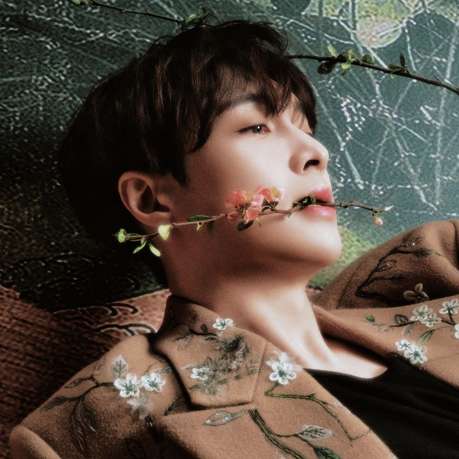 A moment captured by Lay (EXO)'s fan