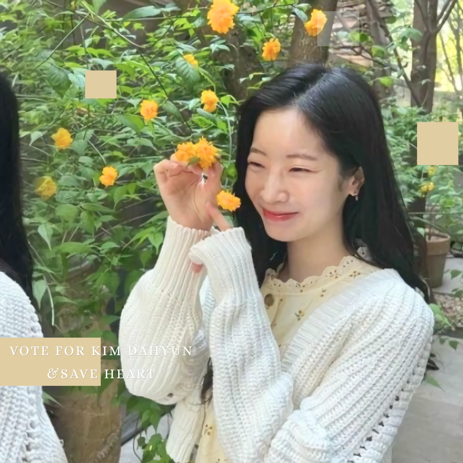 ダヒョン (TWICE)の最近の活動写真