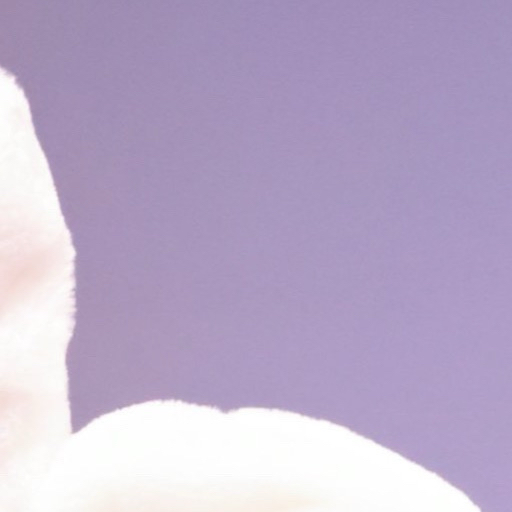 艺温 (Hearts2Hearts)的幕后花絮