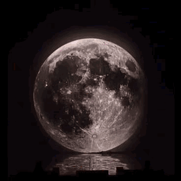 A moment captured by Moonbin (ASTRO)'s fan