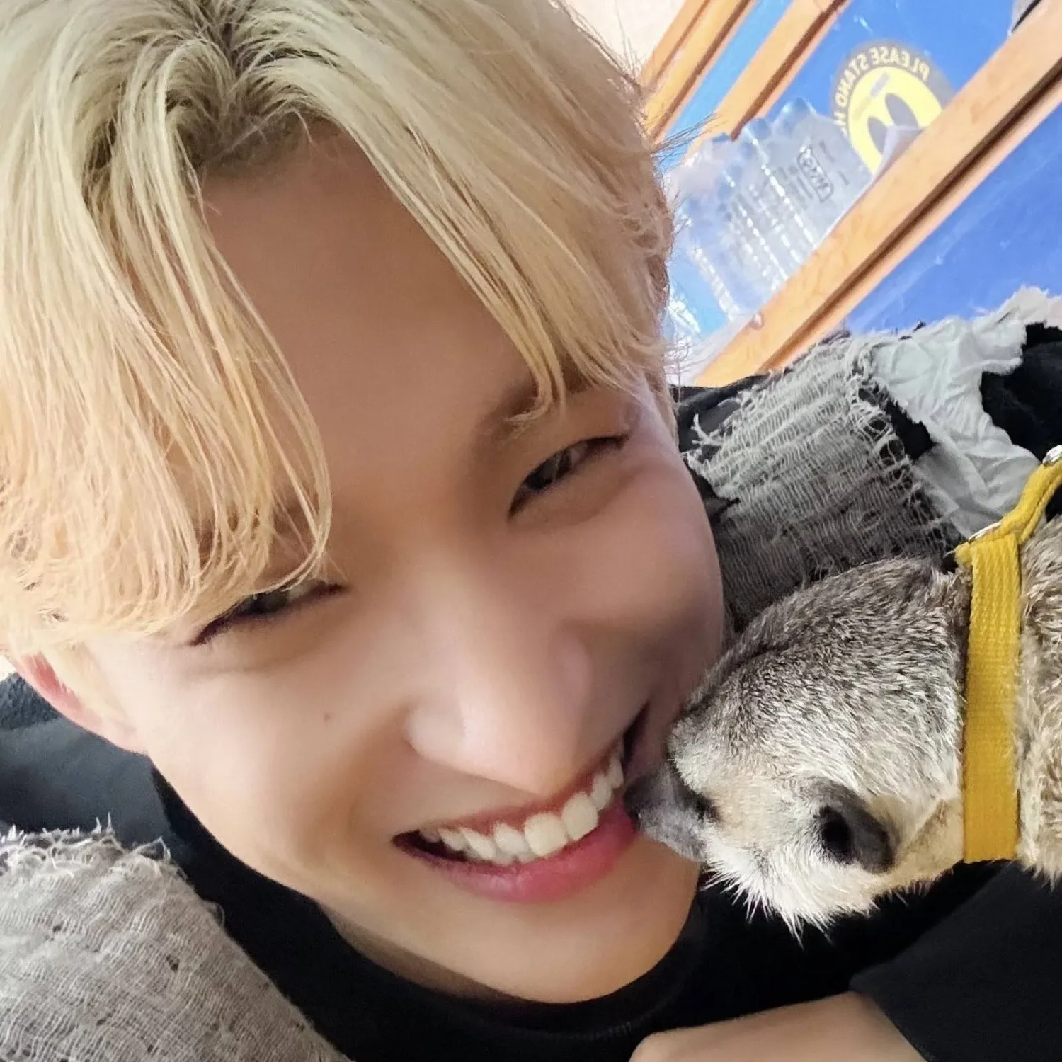 세븐틴의 최신 사진
