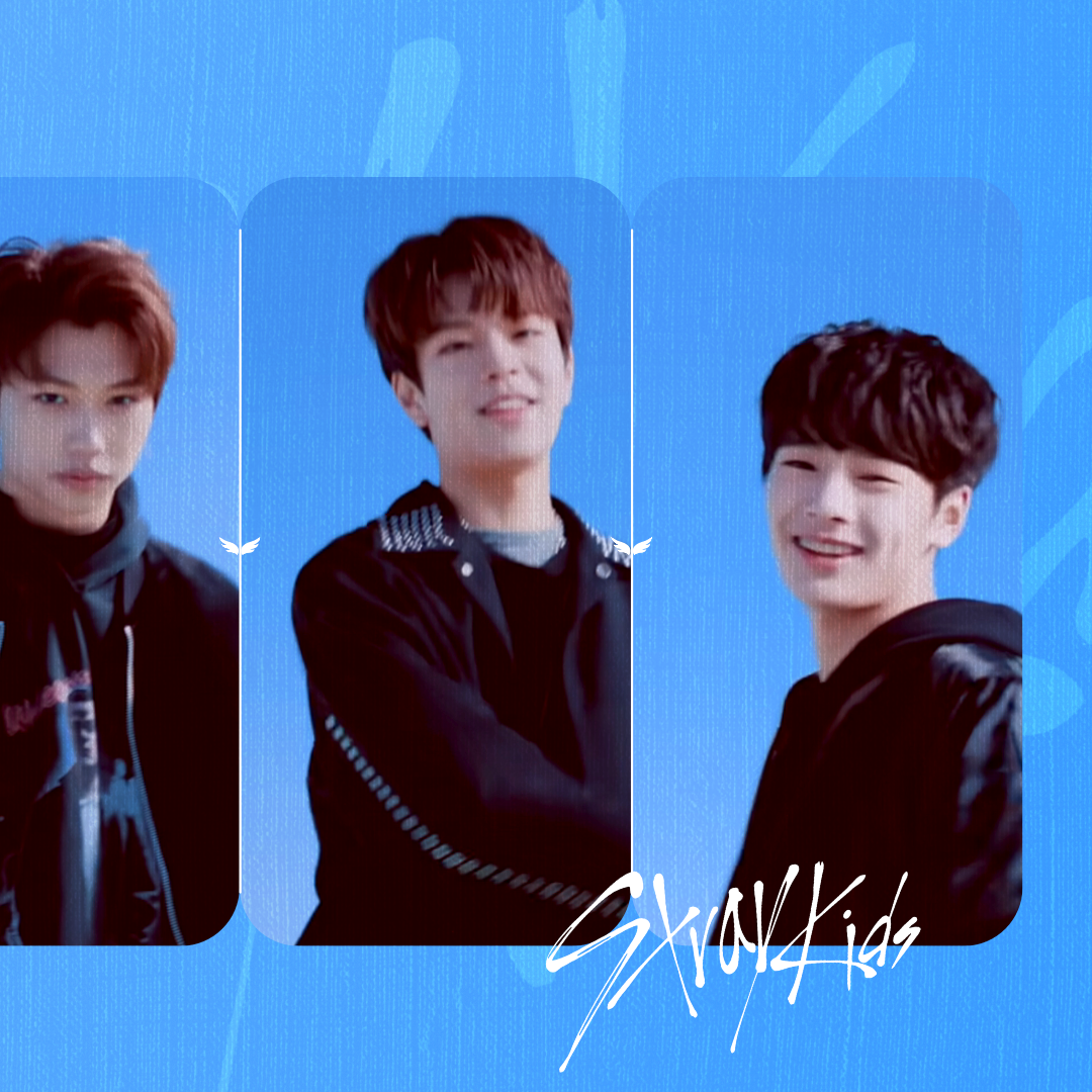 Stray Kids 팬이 찍은 순간