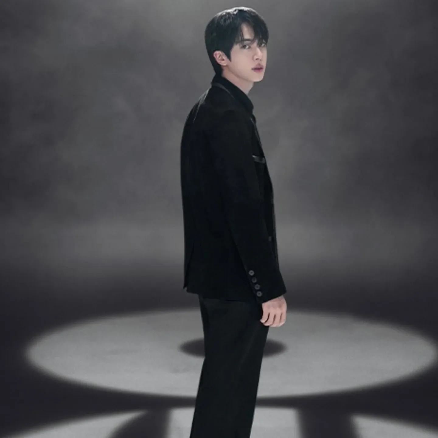 진 (방탄소년단) 팬이 찍은 순간