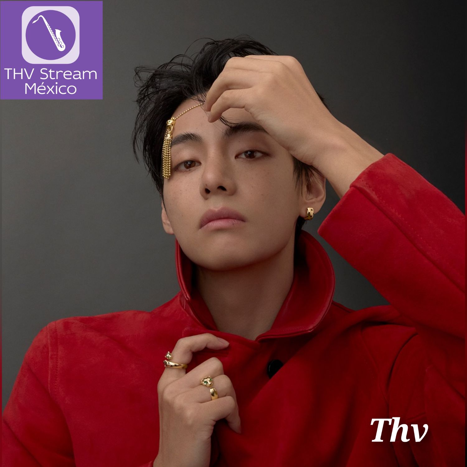 뷔 (방탄소년단) 팬이 찍은 순간