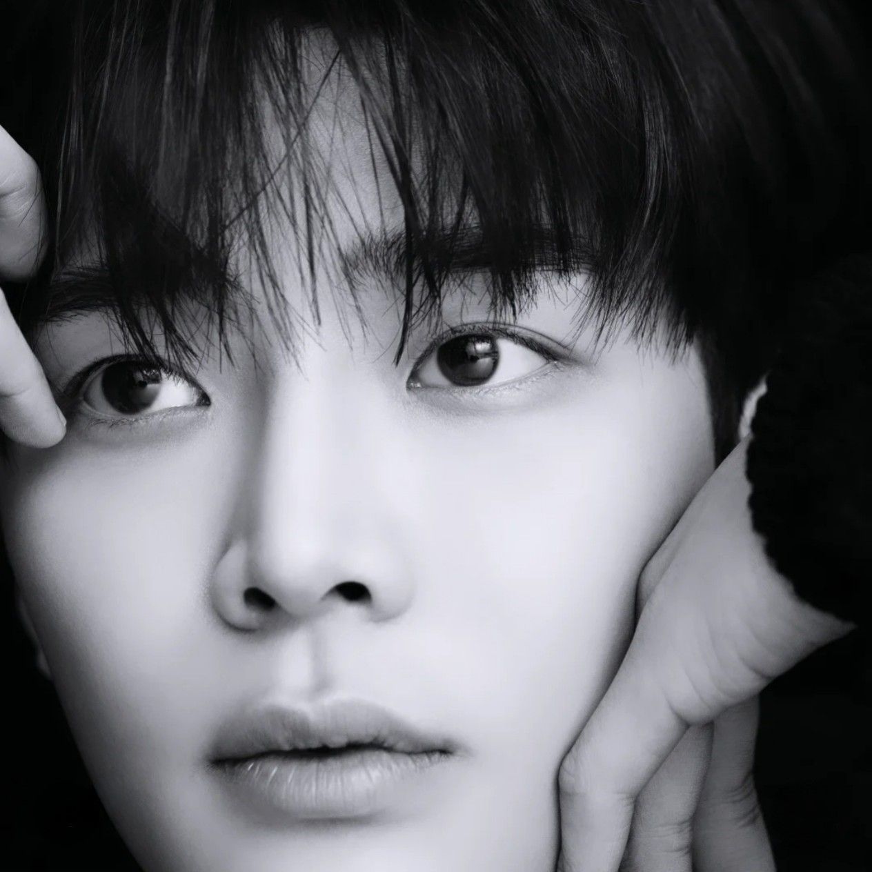 로운 최근 활동샷