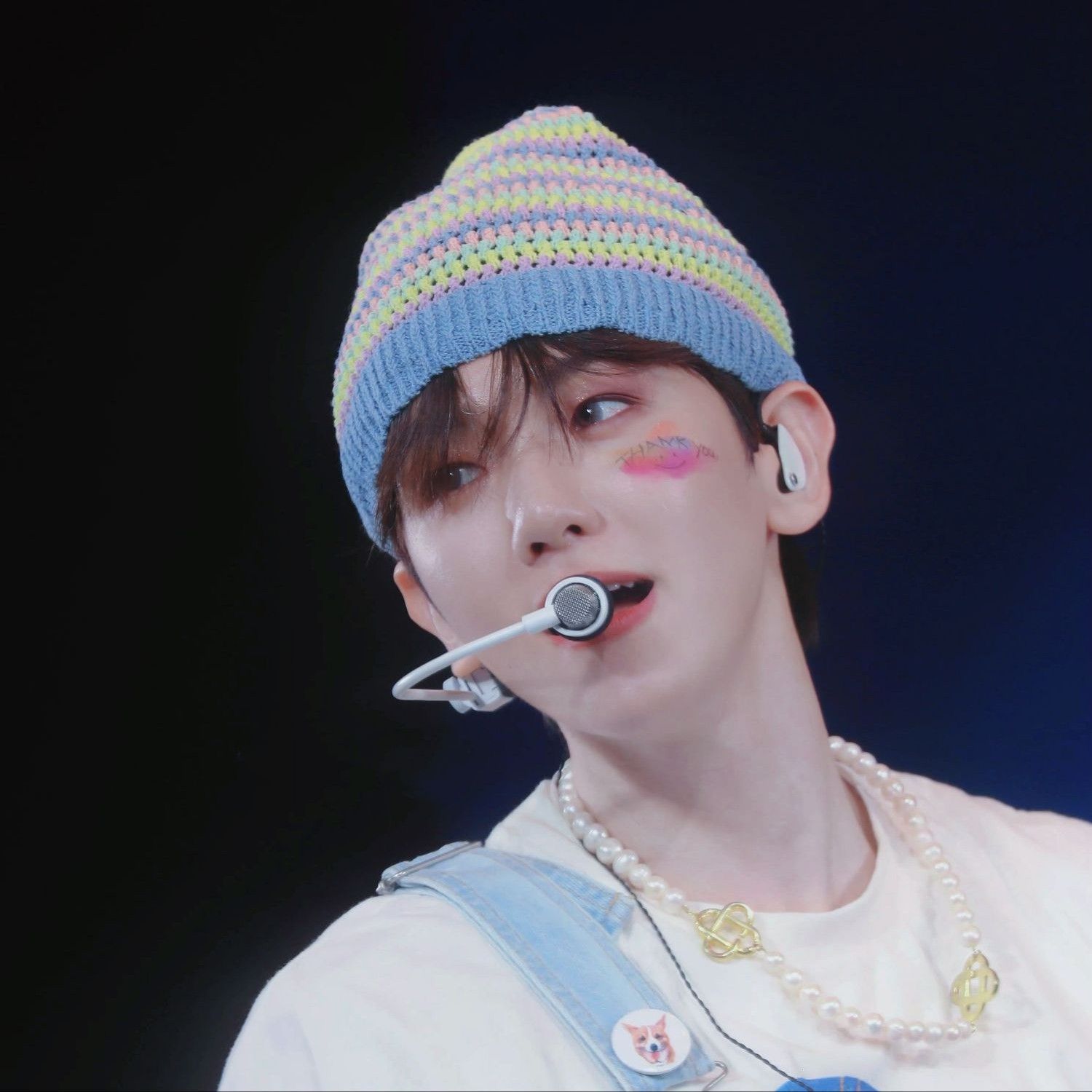 伯賢 (EXO)粉絲拍下的瞬間