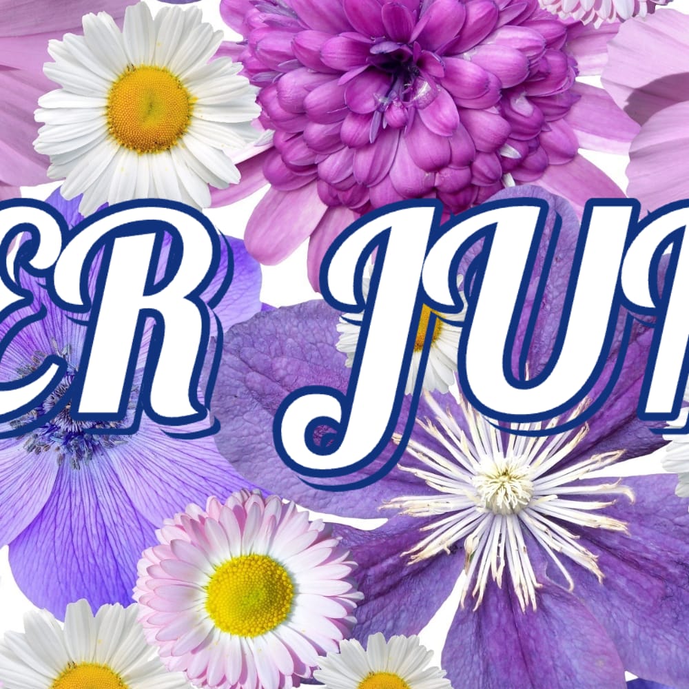 Momen yang diabadikan oleh penggemar Super Junior