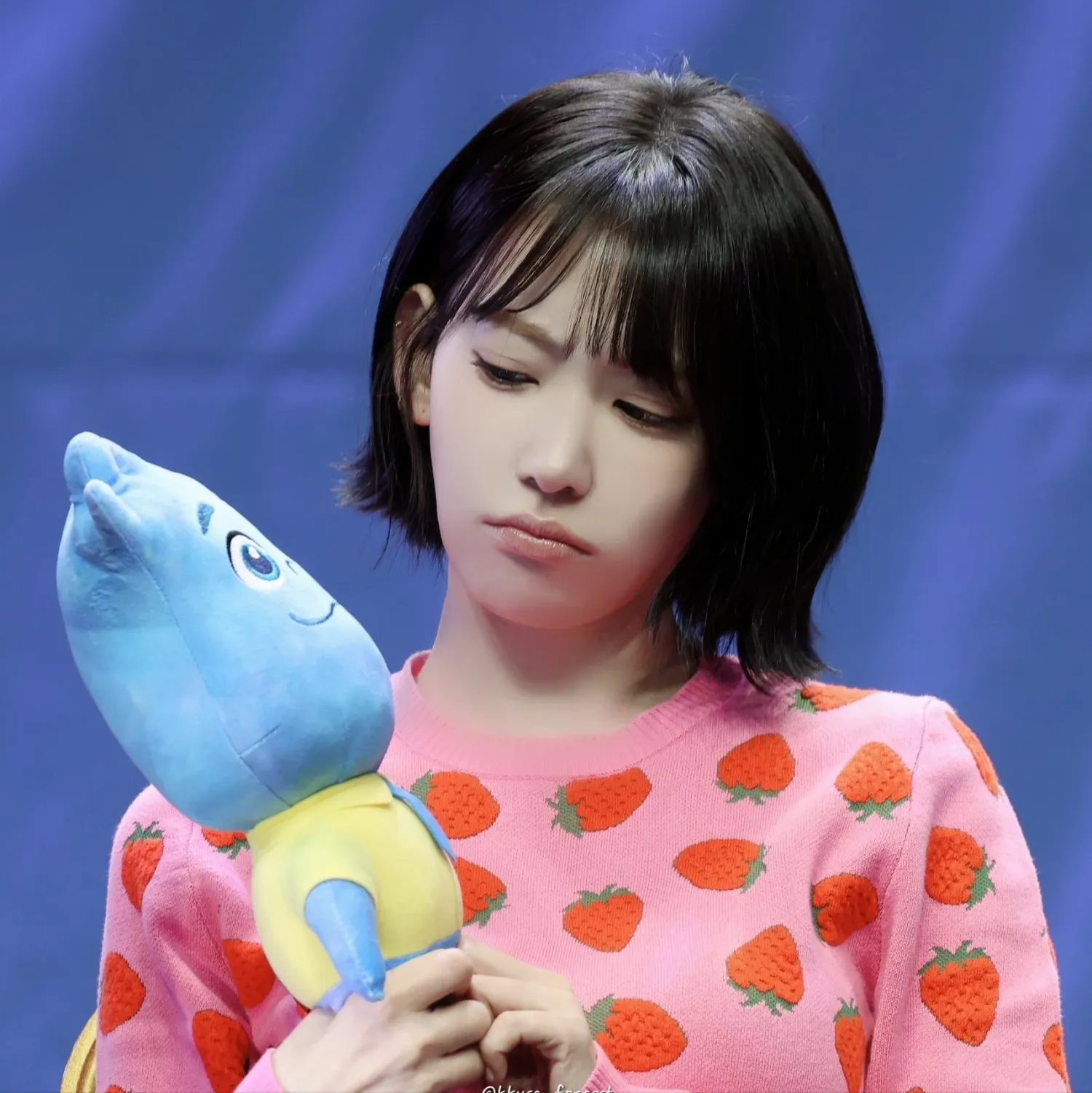 사쿠라 (르세라핌)의 최신 사진